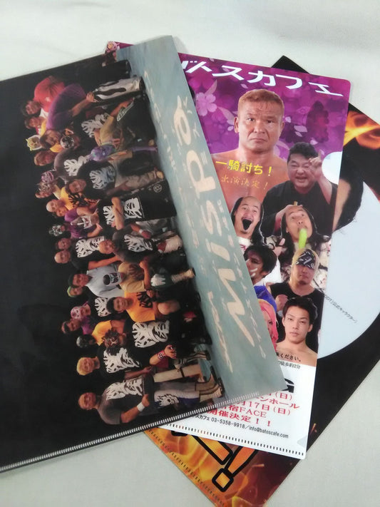 Pro Wrestling  plastic file folder  Set(10)