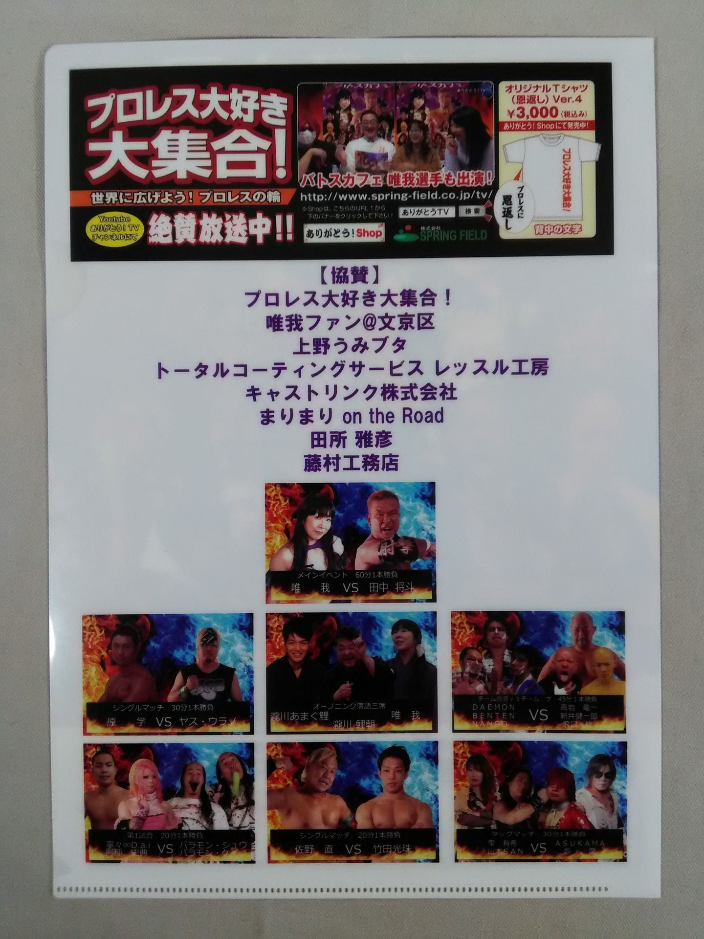 Pro Wrestling  plastic file folder  Set(10)