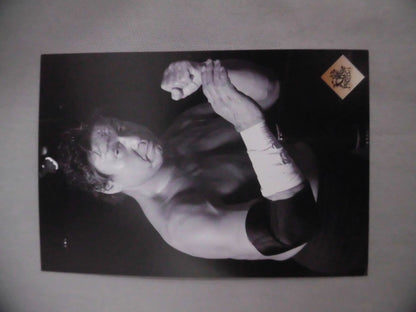 天龍プロジェクト ポストカード3枚セット