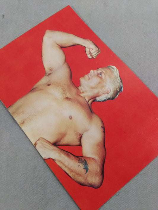 Buddy Colt Magazine Appendix Postcard