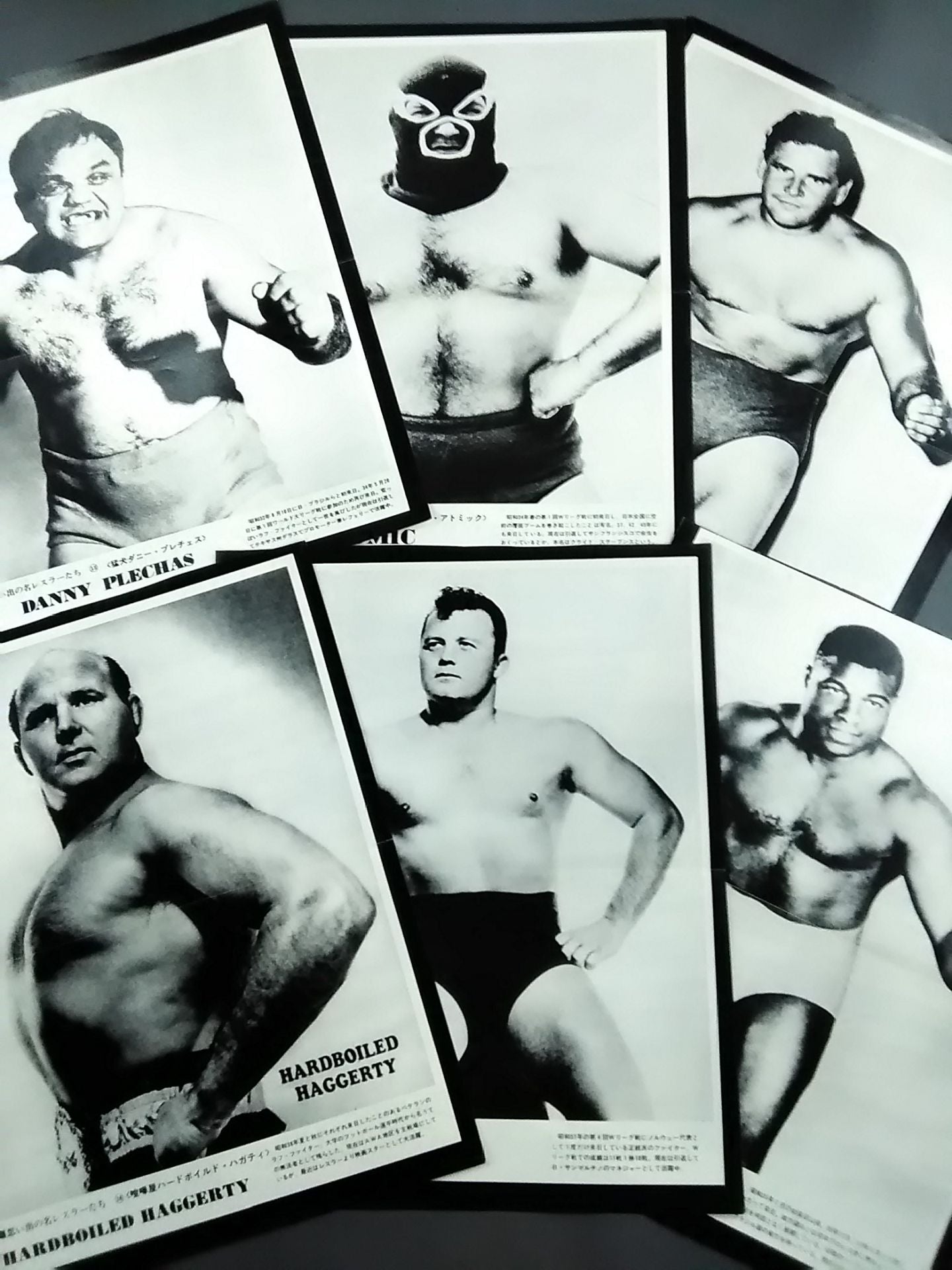 Separate Gong Appendix Memorable Wrestlers 50 times