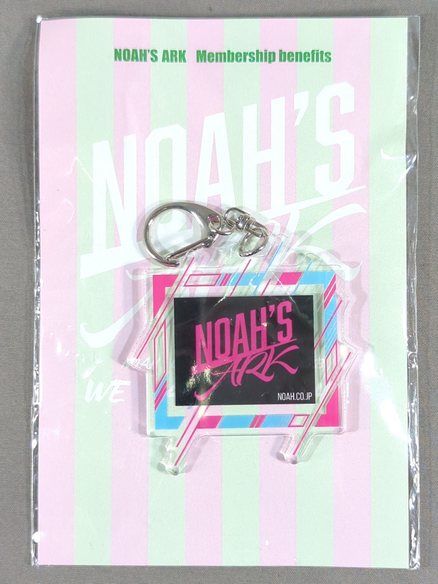 NOAH'S ARK Acrylic Keychain