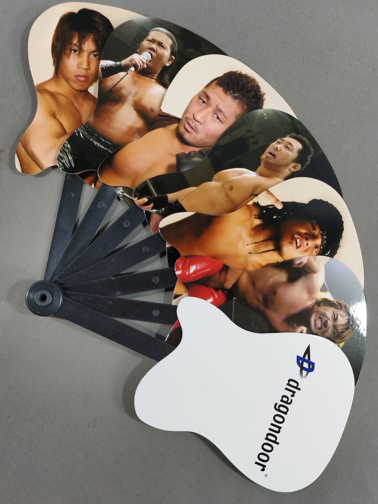 Dragon Door 扇形Mini Uchiwa (paper fan)