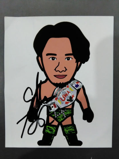 Pro Wrestling  Accessories(42)