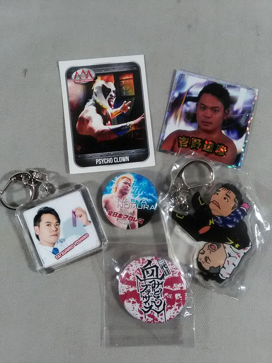 Pro Wrestling  Accessories(89)