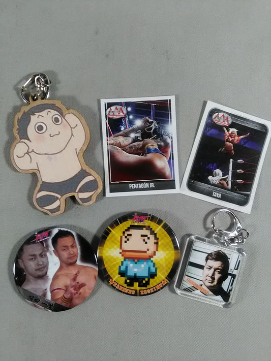 Pro Wrestling  Sets(90)