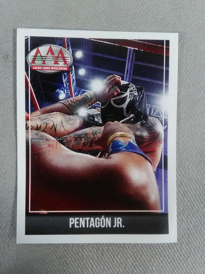 Pro Wrestling  Sets(90)