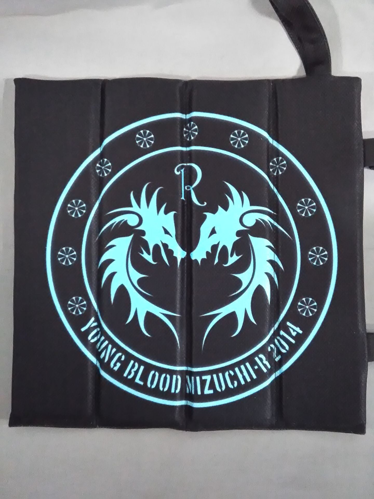 Tenryu  Project Folding cushion (cushion)