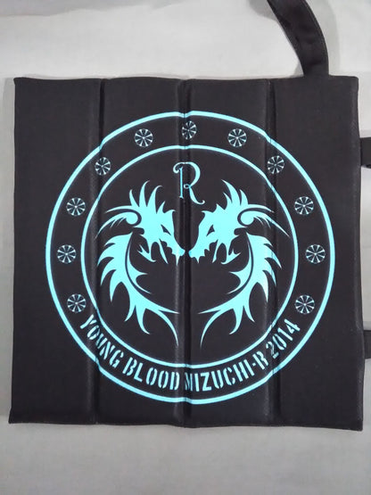 Tenryu  Project Folding cushion (cushion)