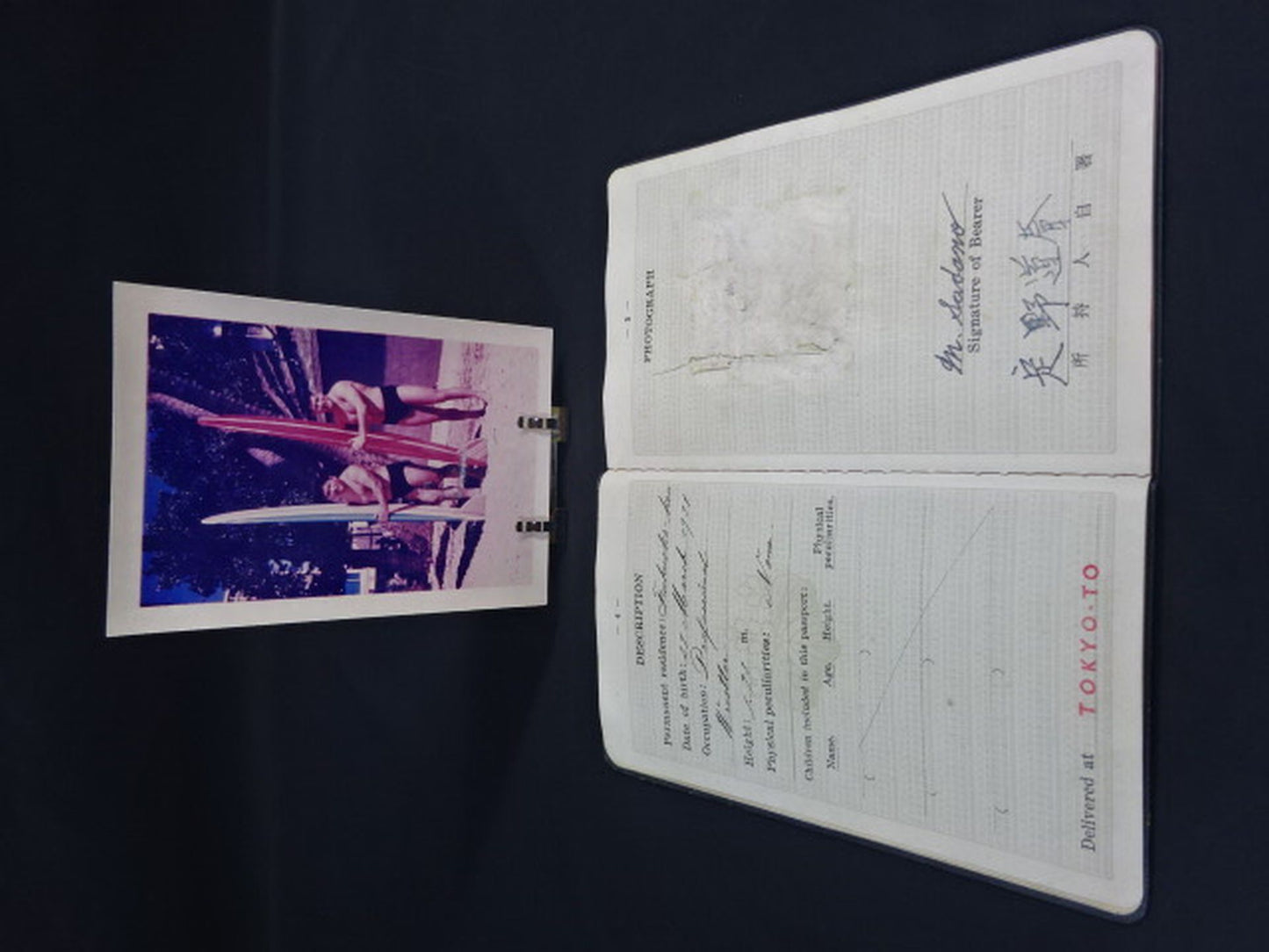 Toyonobori 's Passport