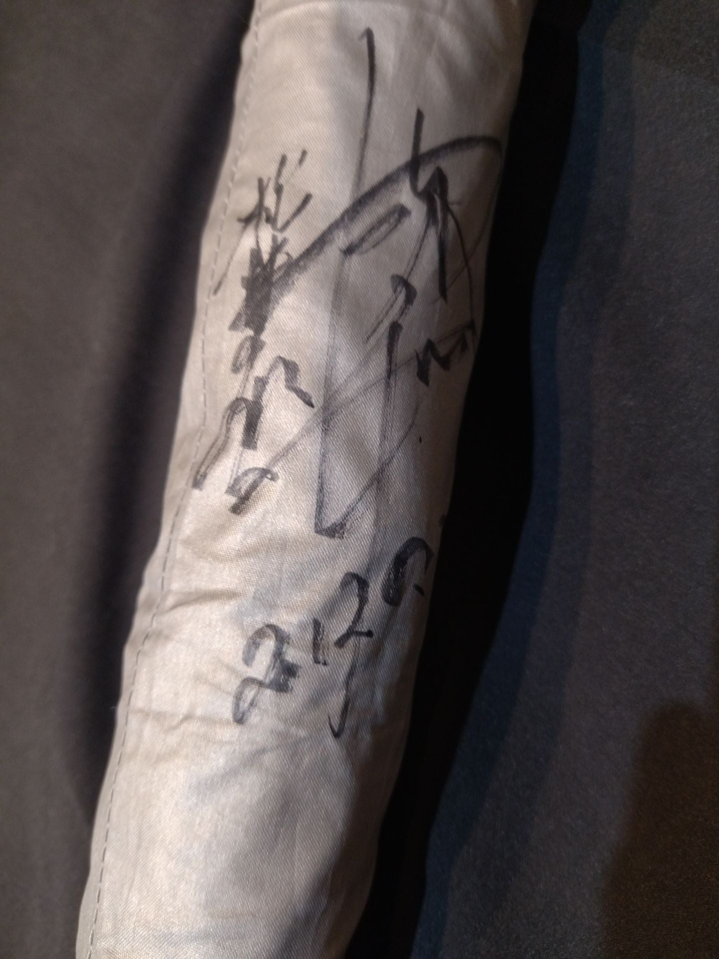 [Masahiro Chono hand signed autograph ] ARISTRIST  Umbrella (Silver)