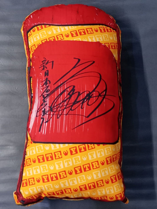 ★ ★ Limited Edition Toru Yano Pipe Chair Cushion