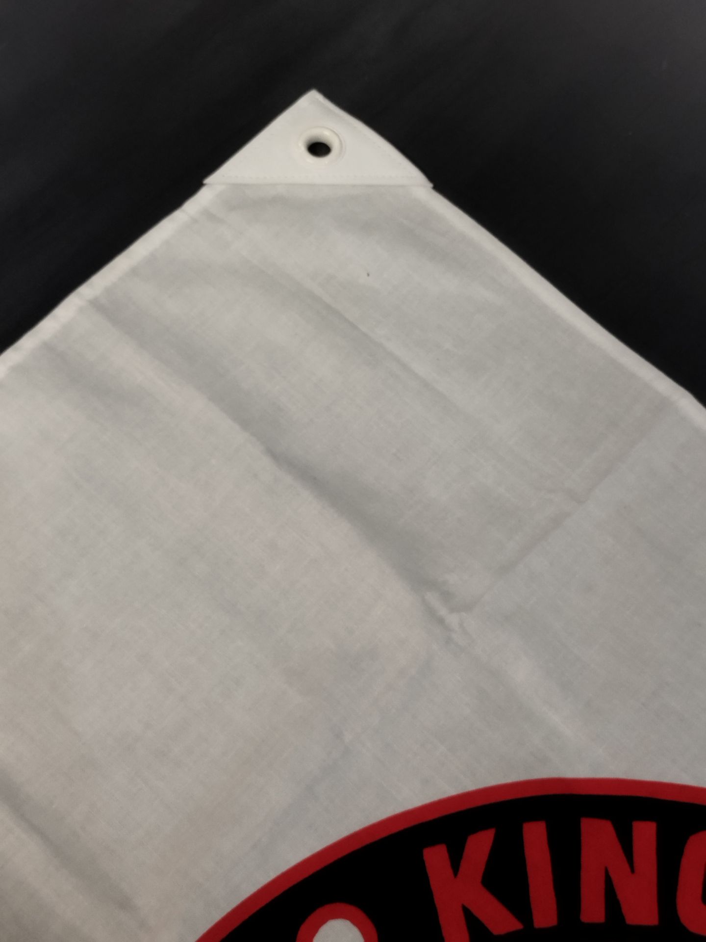 [Minoru Tanaka &Takashi Iizuka hand signed autograph ] Lion Mark  flag (Middle)