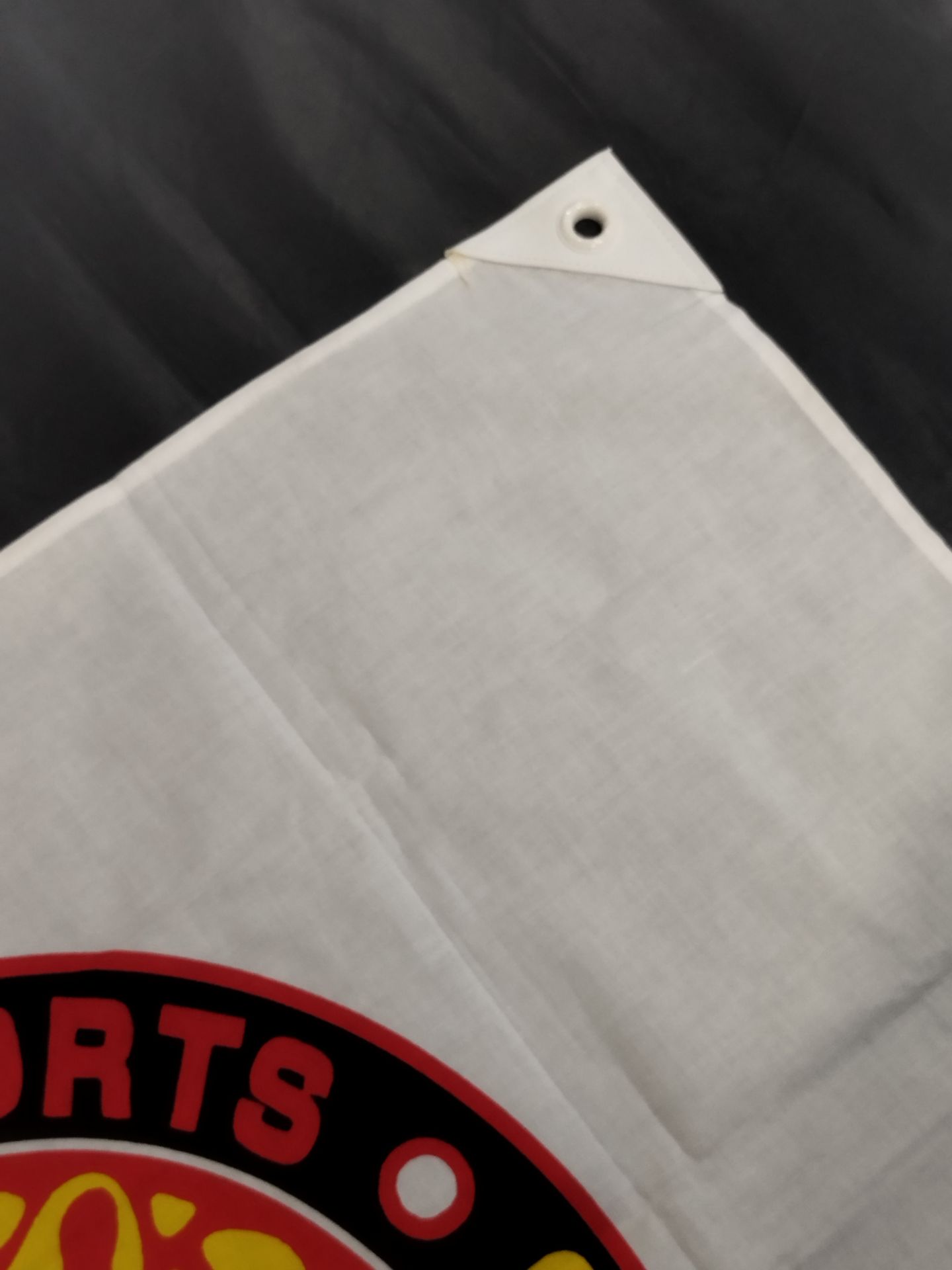 [Minoru Tanaka &Takashi Iizuka hand signed autograph ] Lion Mark  flag (Middle)