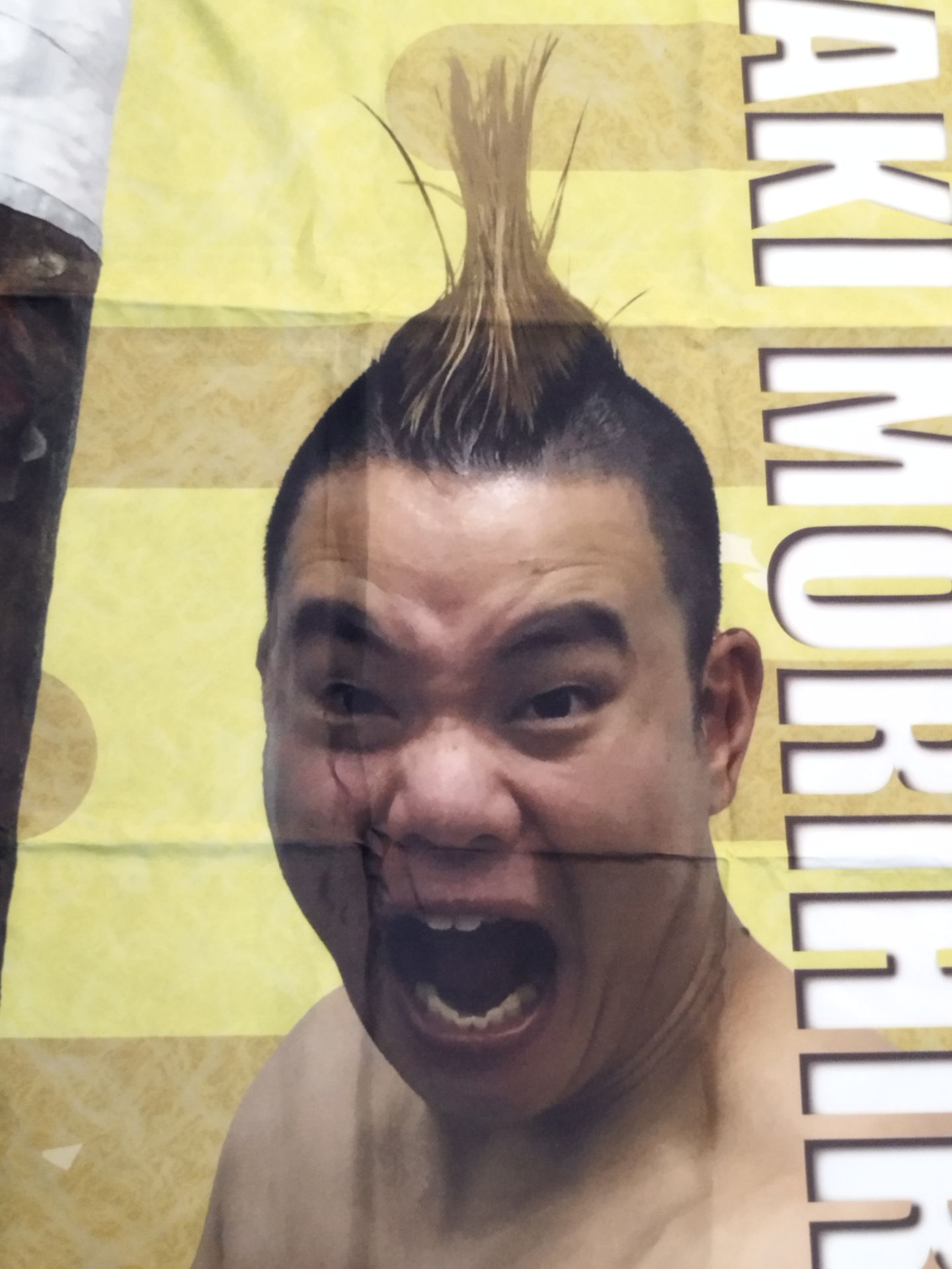 ★大日本プロレス×BLUE KOKE★ 森廣祐基 横断幕