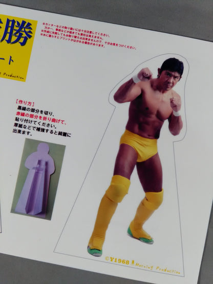 ★ ★ Masakatsu Funaki 1/10 Scale Mini Panel Kit Sheet
