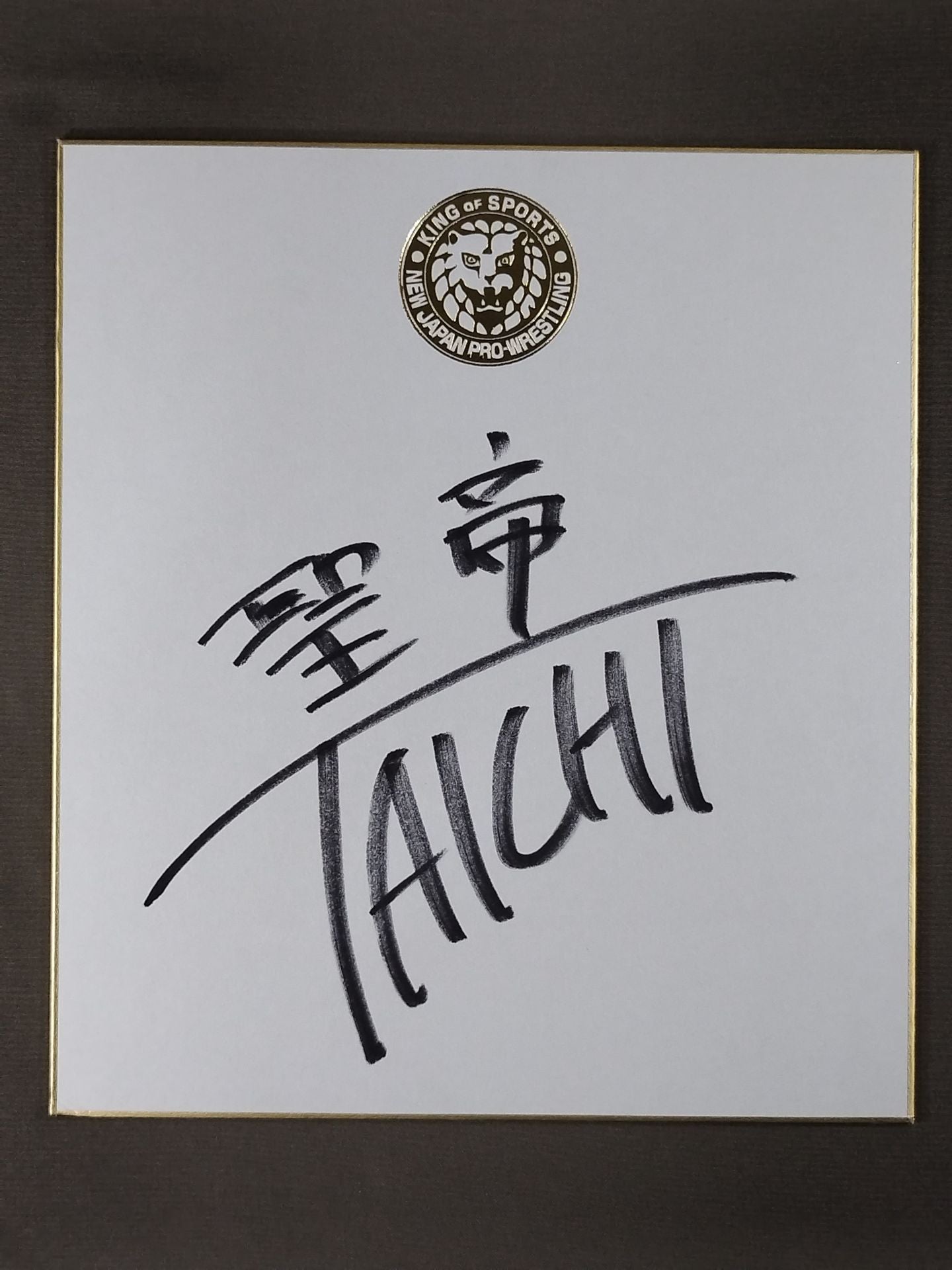 タイチ(ライオンマーク色紙)