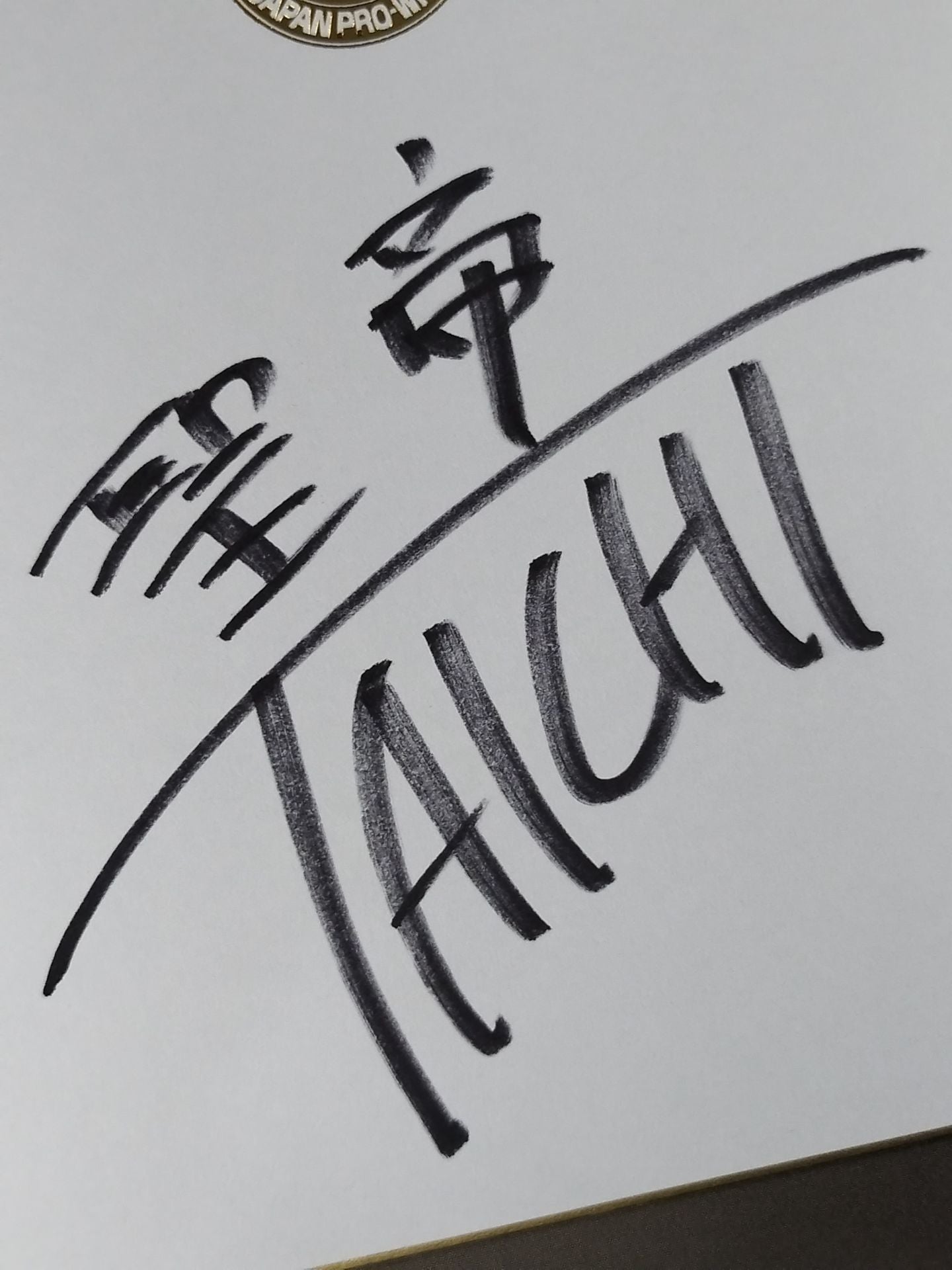 タイチ(ライオンマーク色紙)