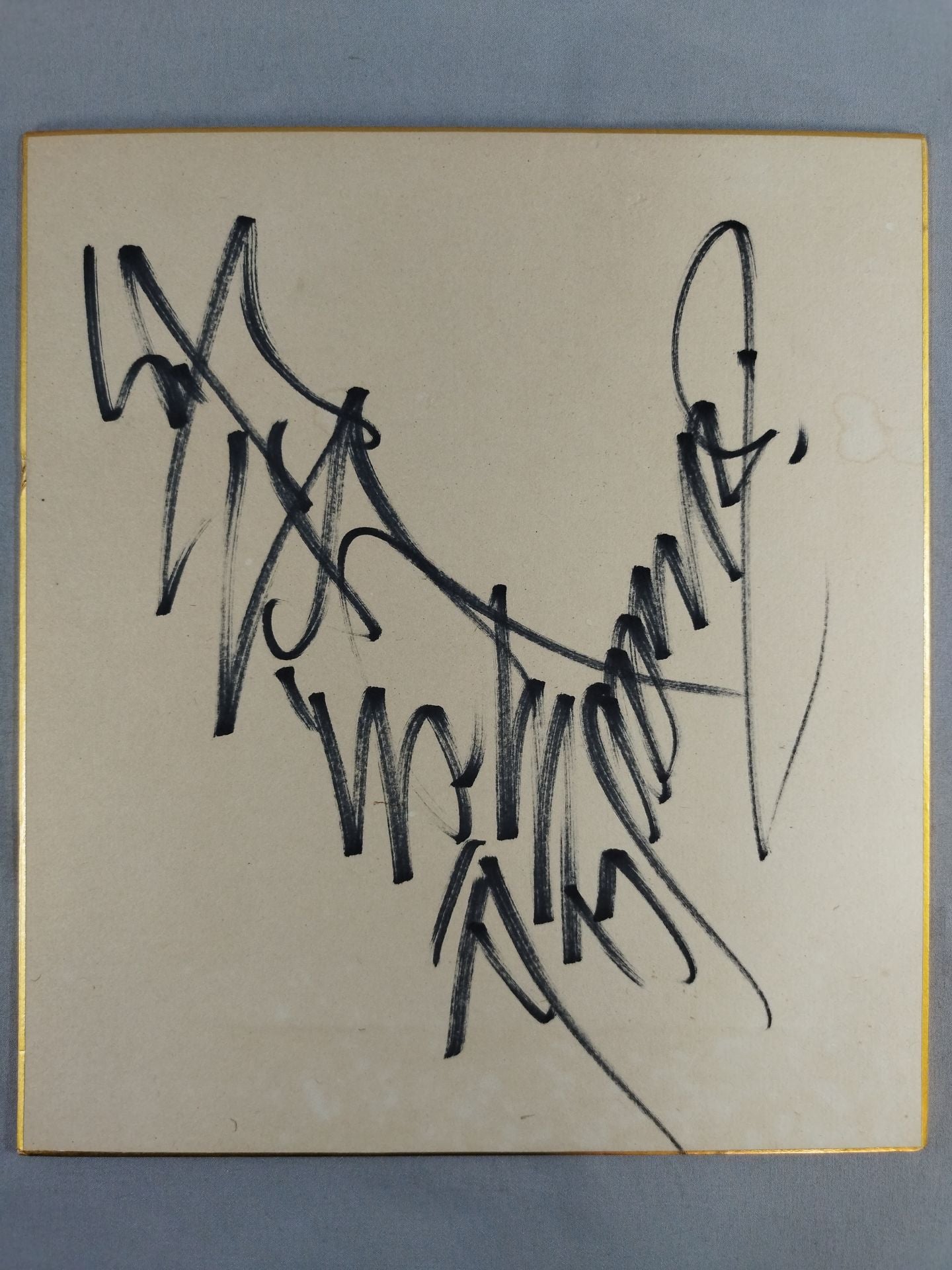 船木誠勝(パンクラス時代)