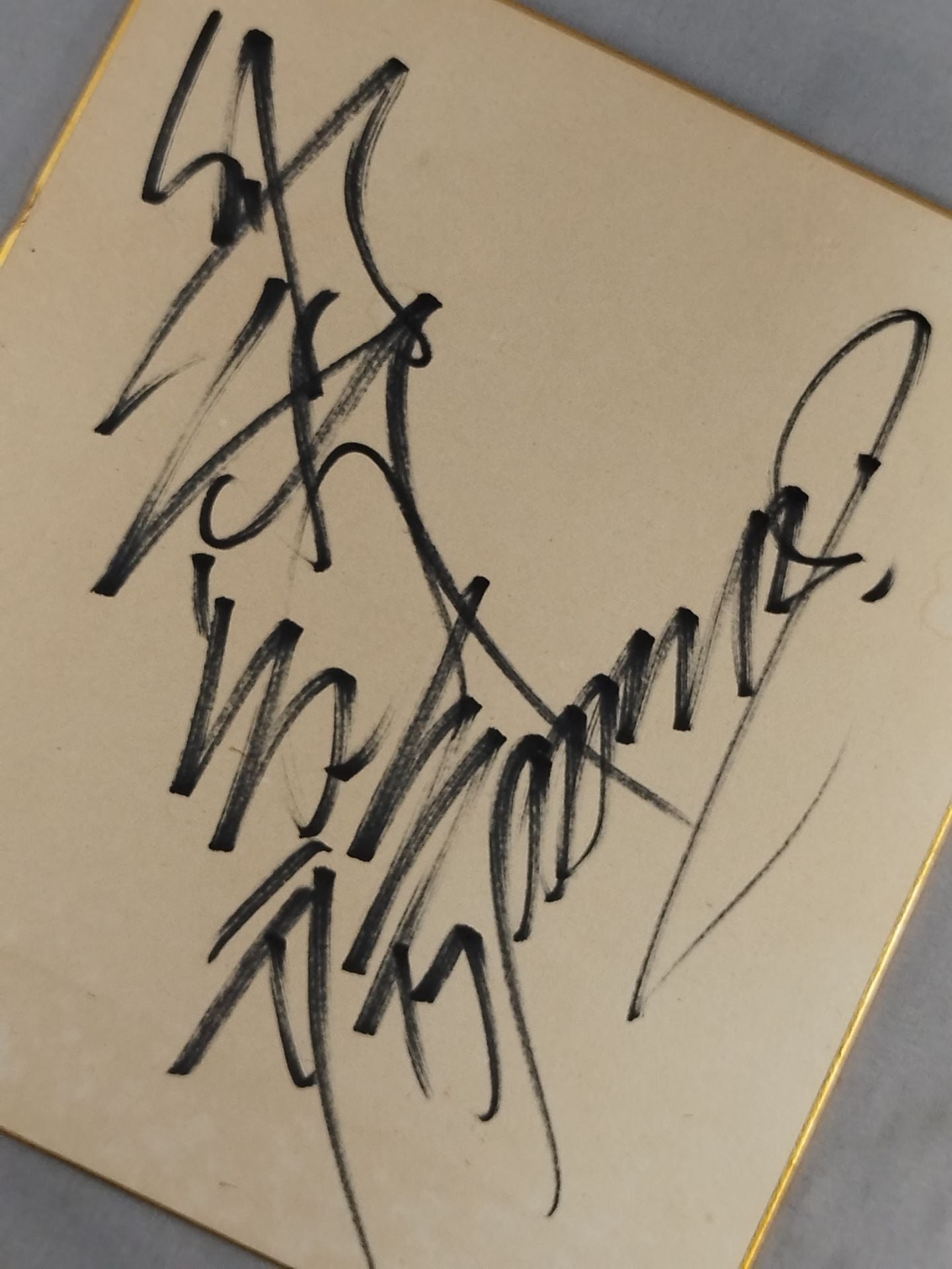 船木誠勝(パンクラス時代)