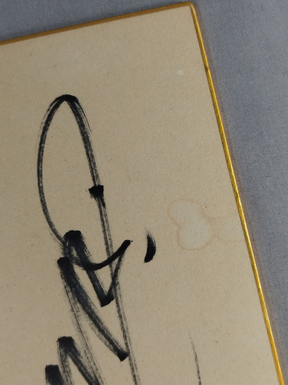 船木誠勝(パンクラス時代)