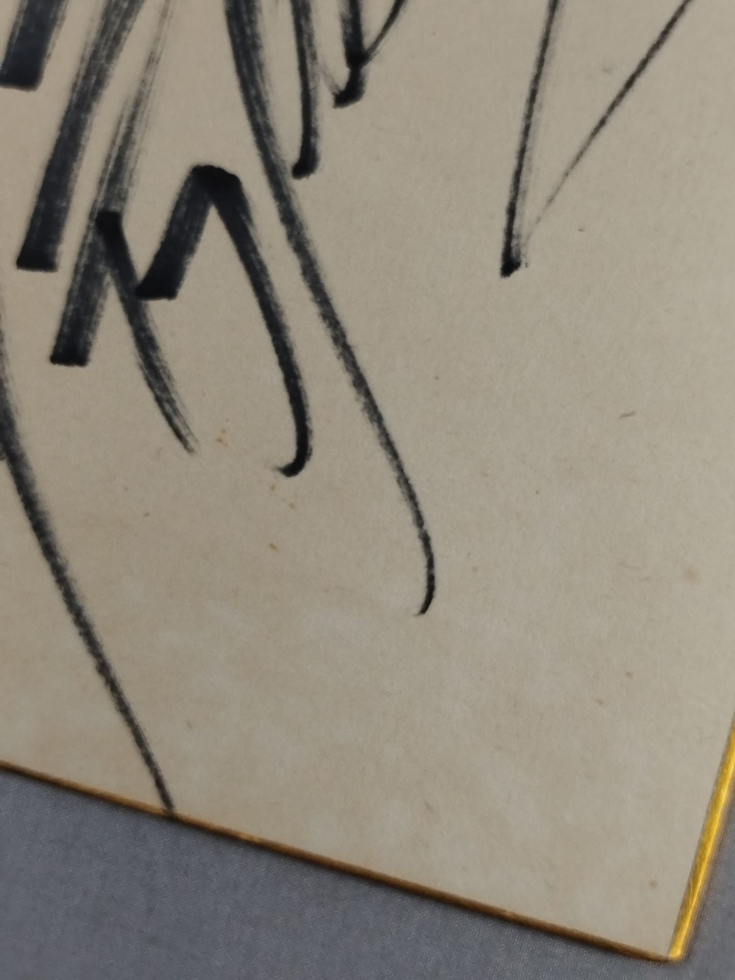 船木誠勝(パンクラス時代)