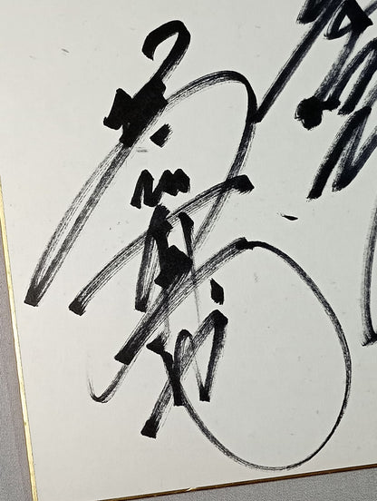 Shinya Hashimoto &Manabu Nakanishi &Hiroyoshi Tenzan