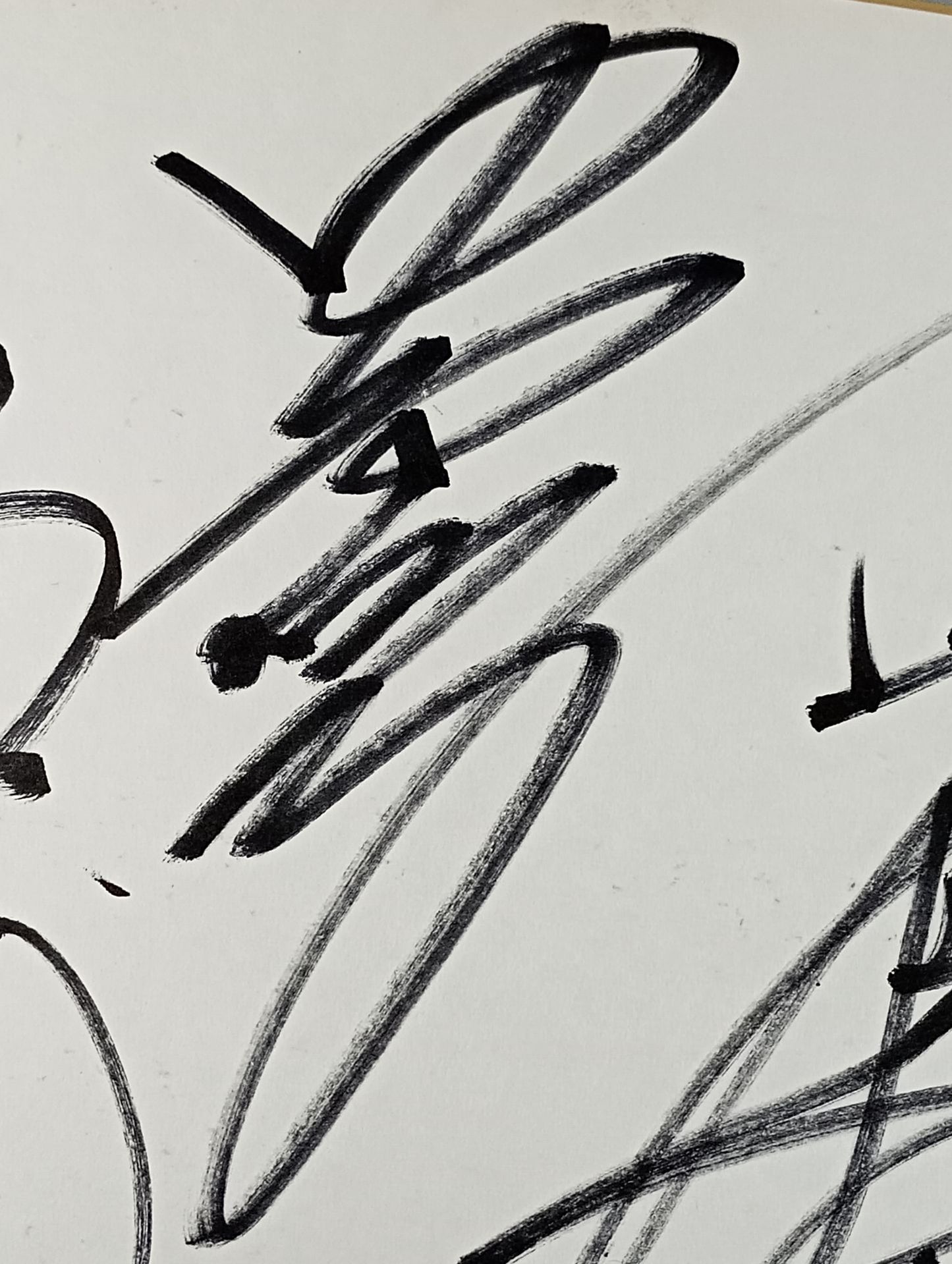 Shinya Hashimoto &Manabu Nakanishi &Hiroyoshi Tenzan