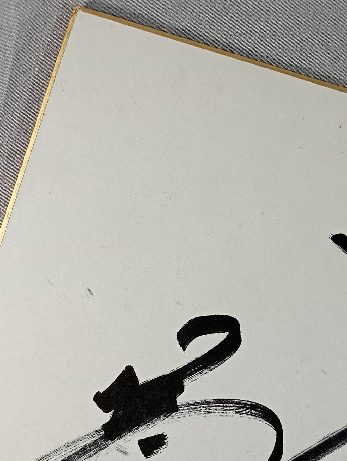 Shinya Hashimoto &Manabu Nakanishi &Hiroyoshi Tenzan