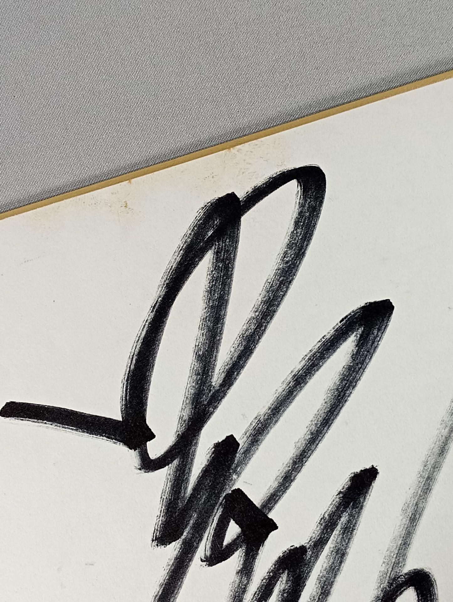 Shinya Hashimoto &Manabu Nakanishi &Hiroyoshi Tenzan