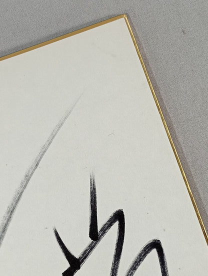 Shinya Hashimoto &Manabu Nakanishi &Hiroyoshi Tenzan