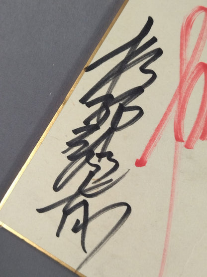 ★ハイブリッド★ パンクラス 旗揚げメンバー 7選手寄せ書き