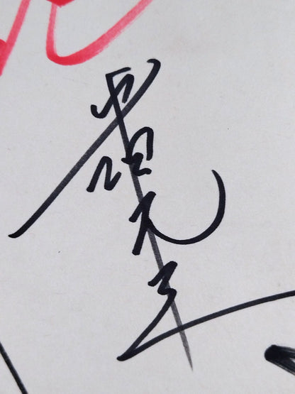 ★ハイブリッド★ パンクラス 旗揚げメンバー 7選手寄せ書き