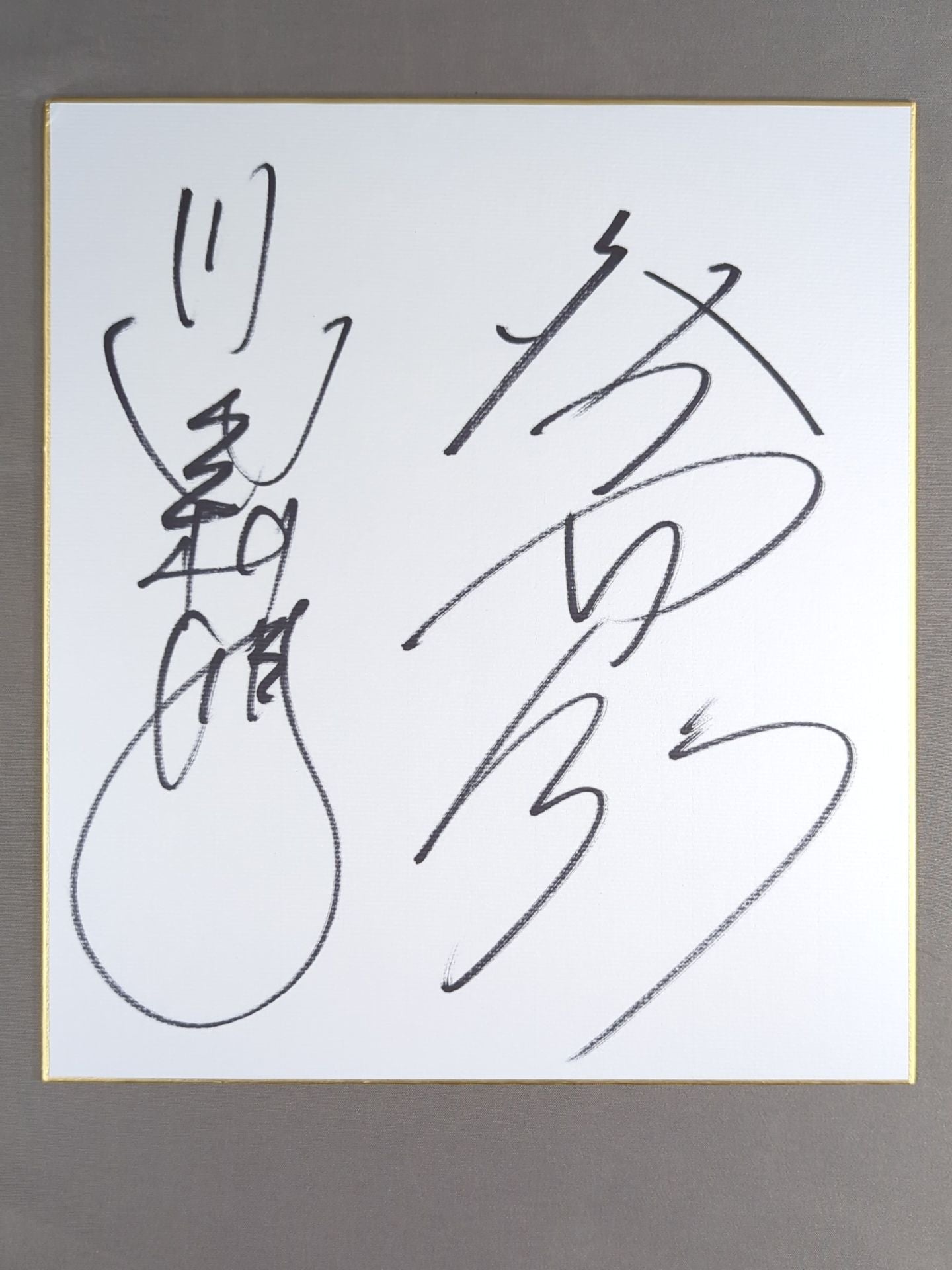 川田利明＆大谷晋二郎