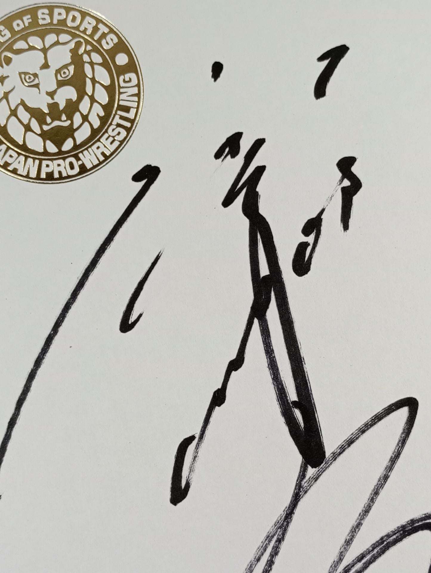 ★CHAOS★ 石井智宏＆邪道＆矢野通(ライオンマーク色紙)