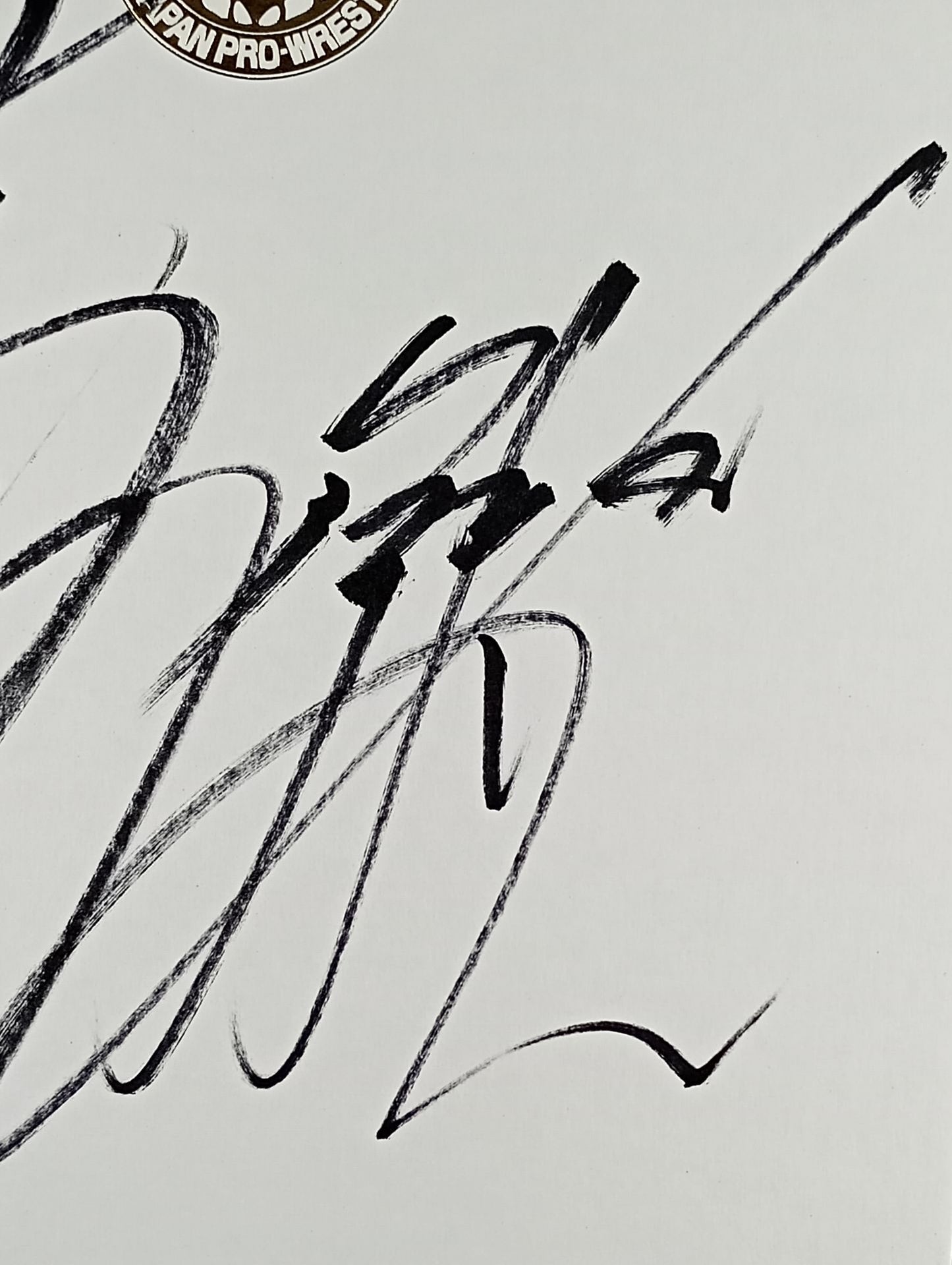 Togi Makabe  & Hirooki Goto  ( Lion Mark Shikishi ( Autograph board ) )