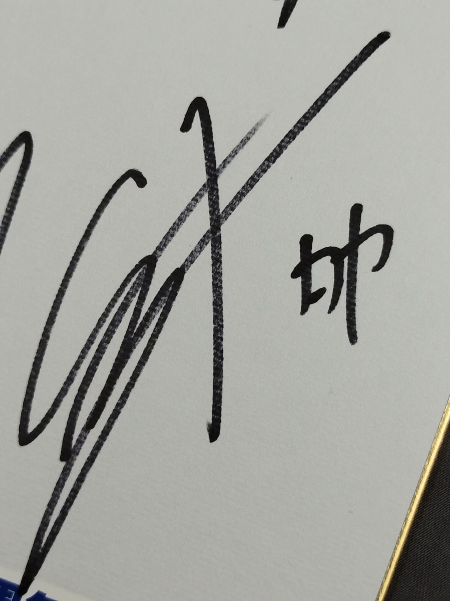 ★ TAKA Michinoku 20th Anniversary Tournament ★ Main Event 6 Fighters