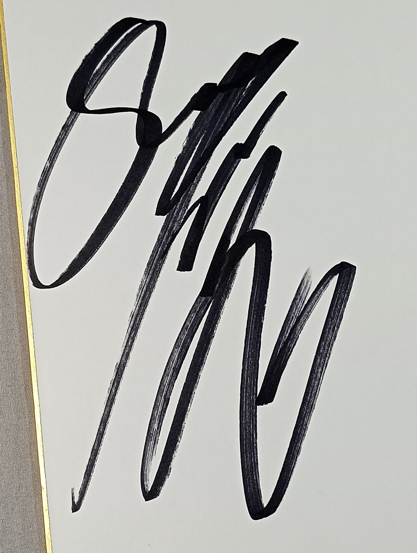 諏訪魔＆永田裕志