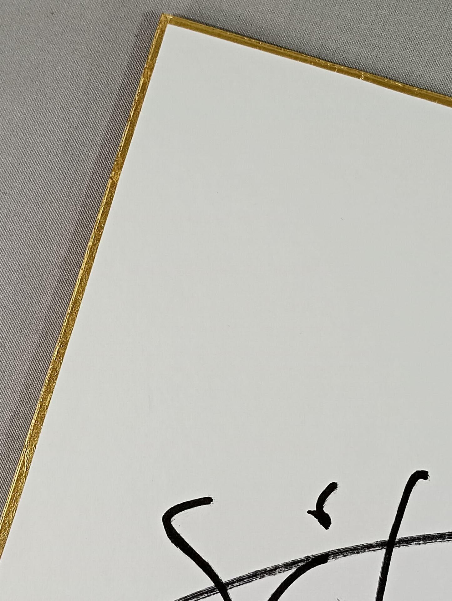 山本尚史＆棚橋弘至