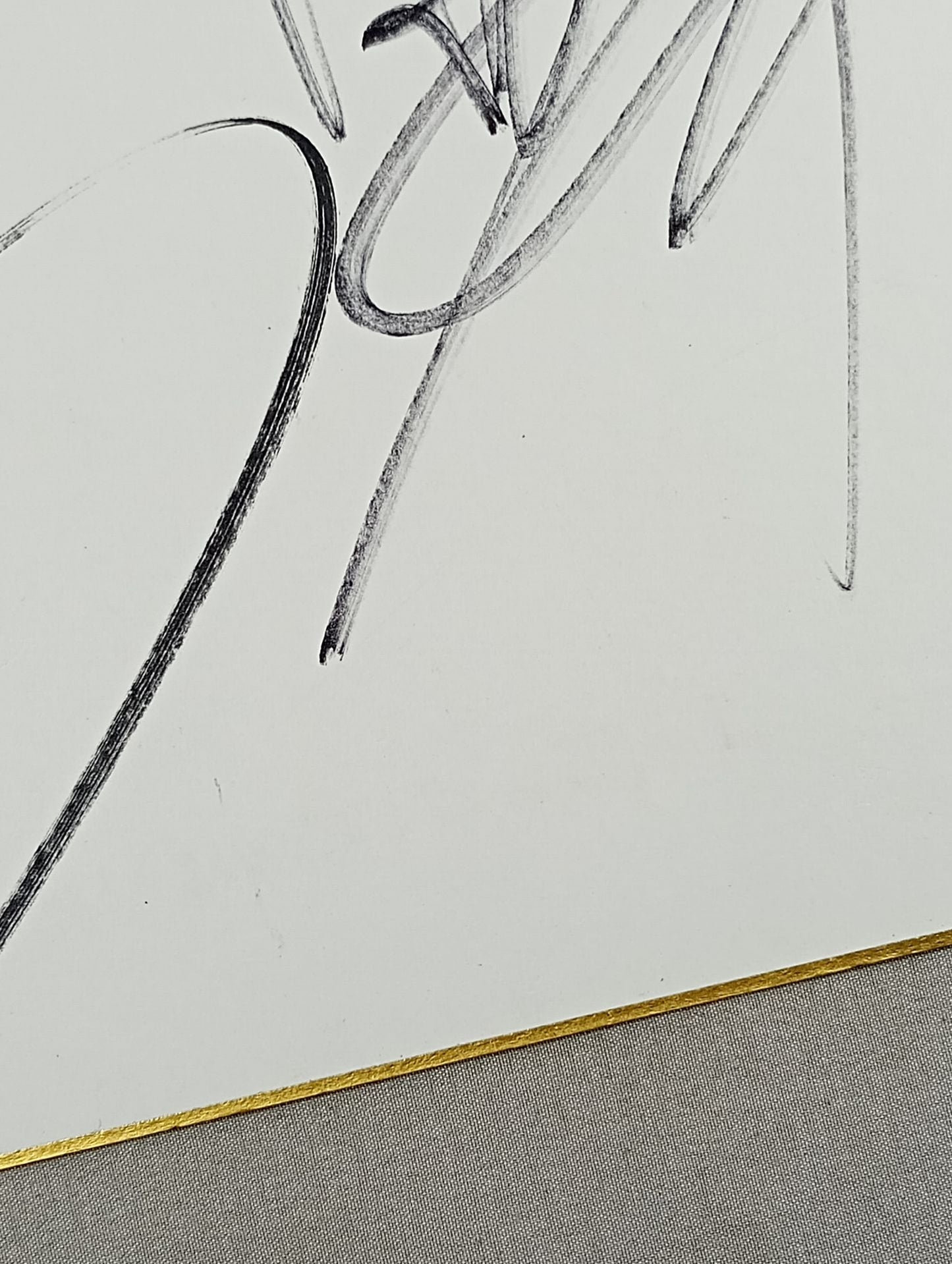 大谷晋二郎＆永田裕志