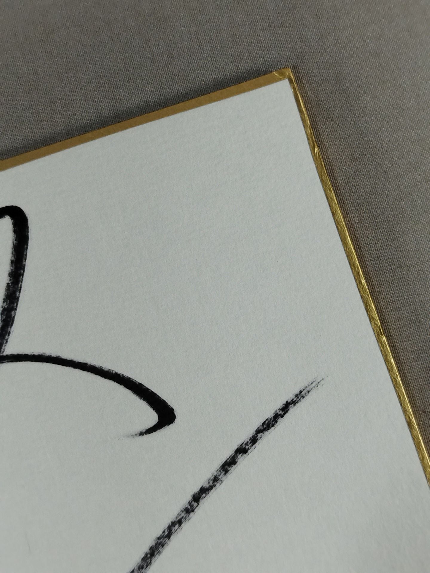 渕正信＆太陽ケア