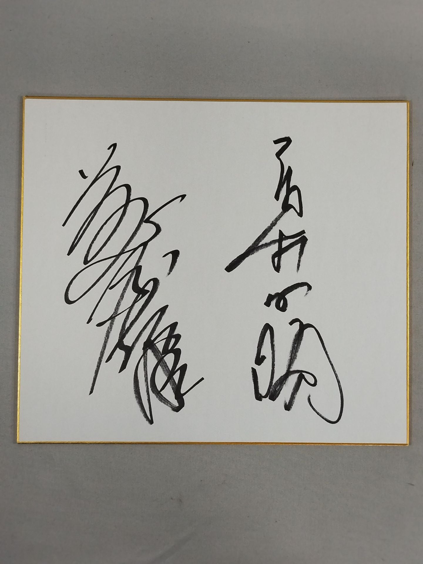 Yoshiaki Fujiwara  & Masakatsu Funaki