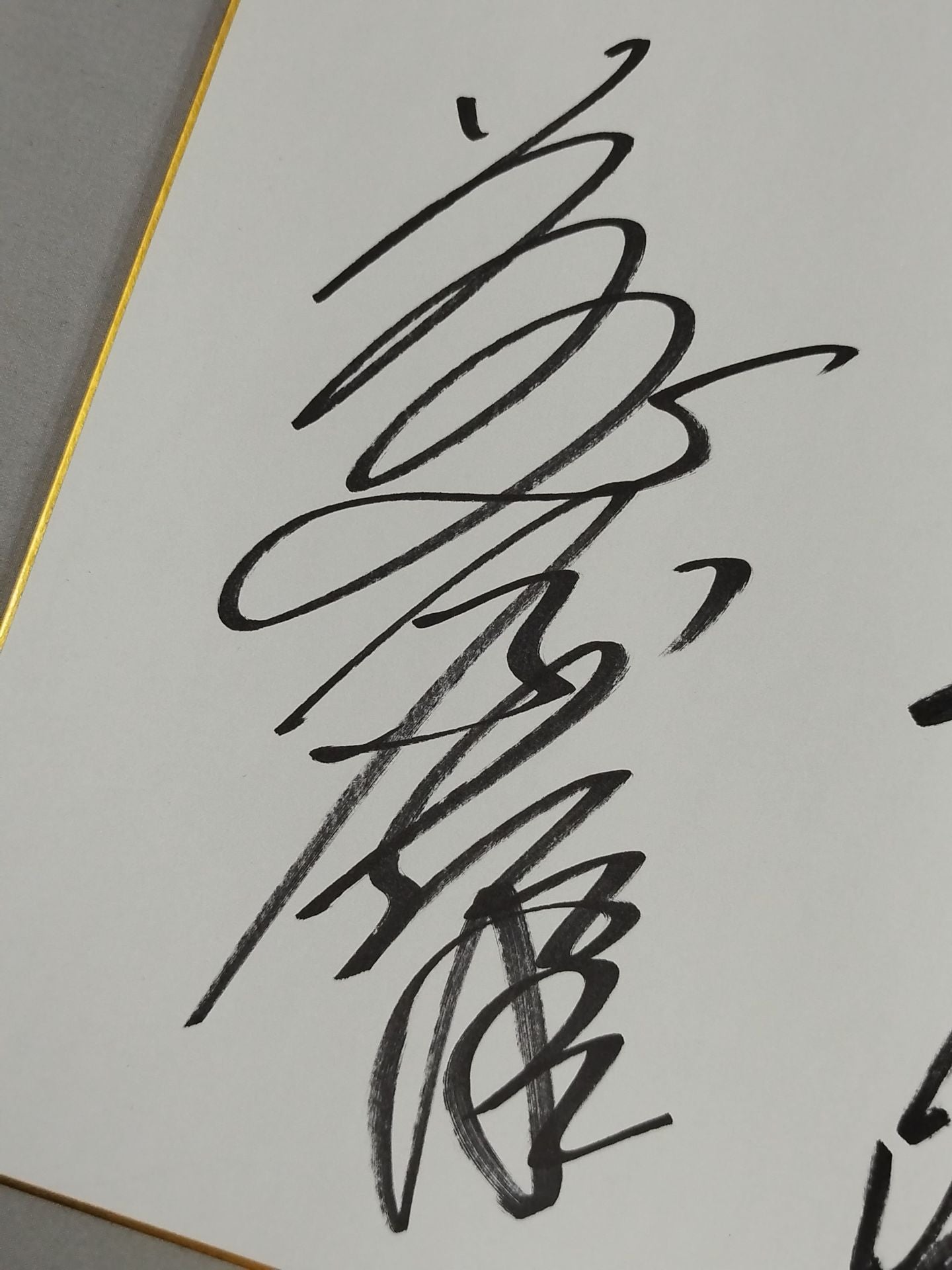 Yoshiaki Fujiwara  & Masakatsu Funaki