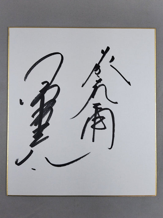 Kenta Kobashi &Tatsumi Fujinami