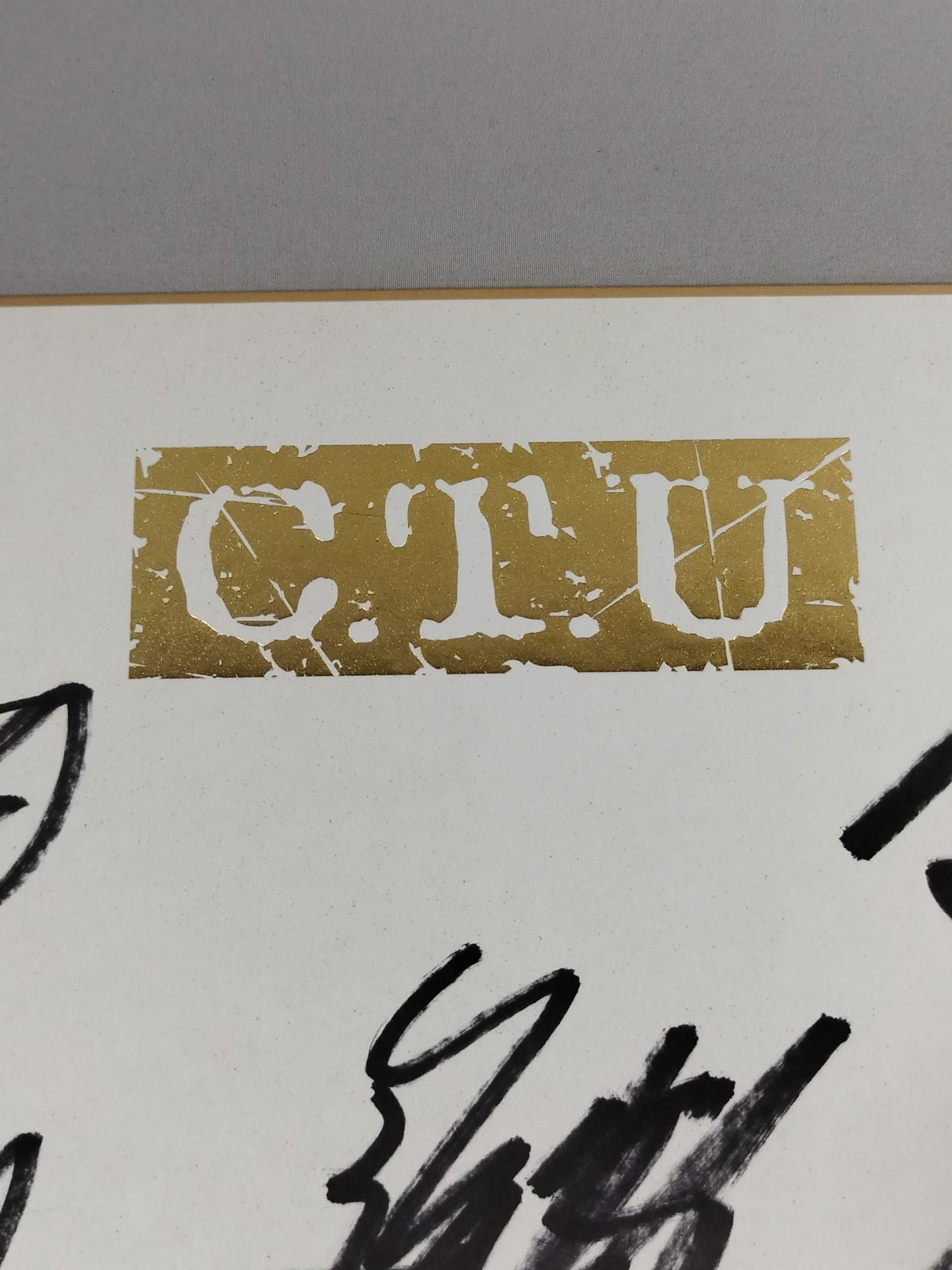 ★C.T.U★ 5選手寄せ書き(C.T.U専用色紙)