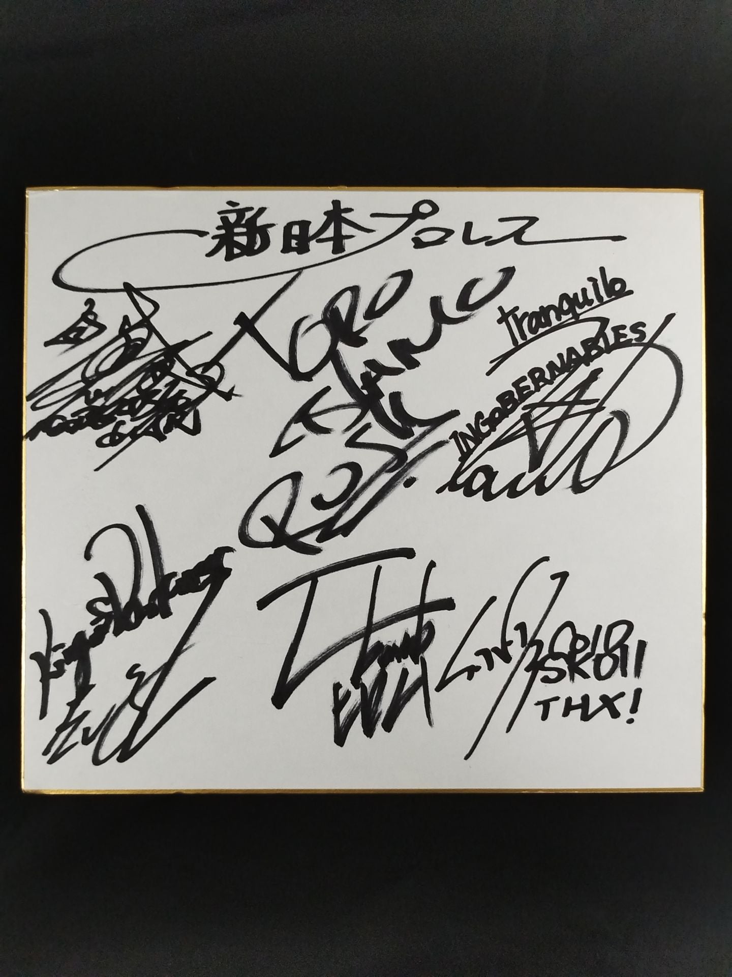 ★ ★ LOS INGOBERNABLES de JAPON 6Fighters