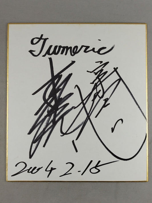 ★ターメリック・ストーム★ 本間朋晃＆宮本和志