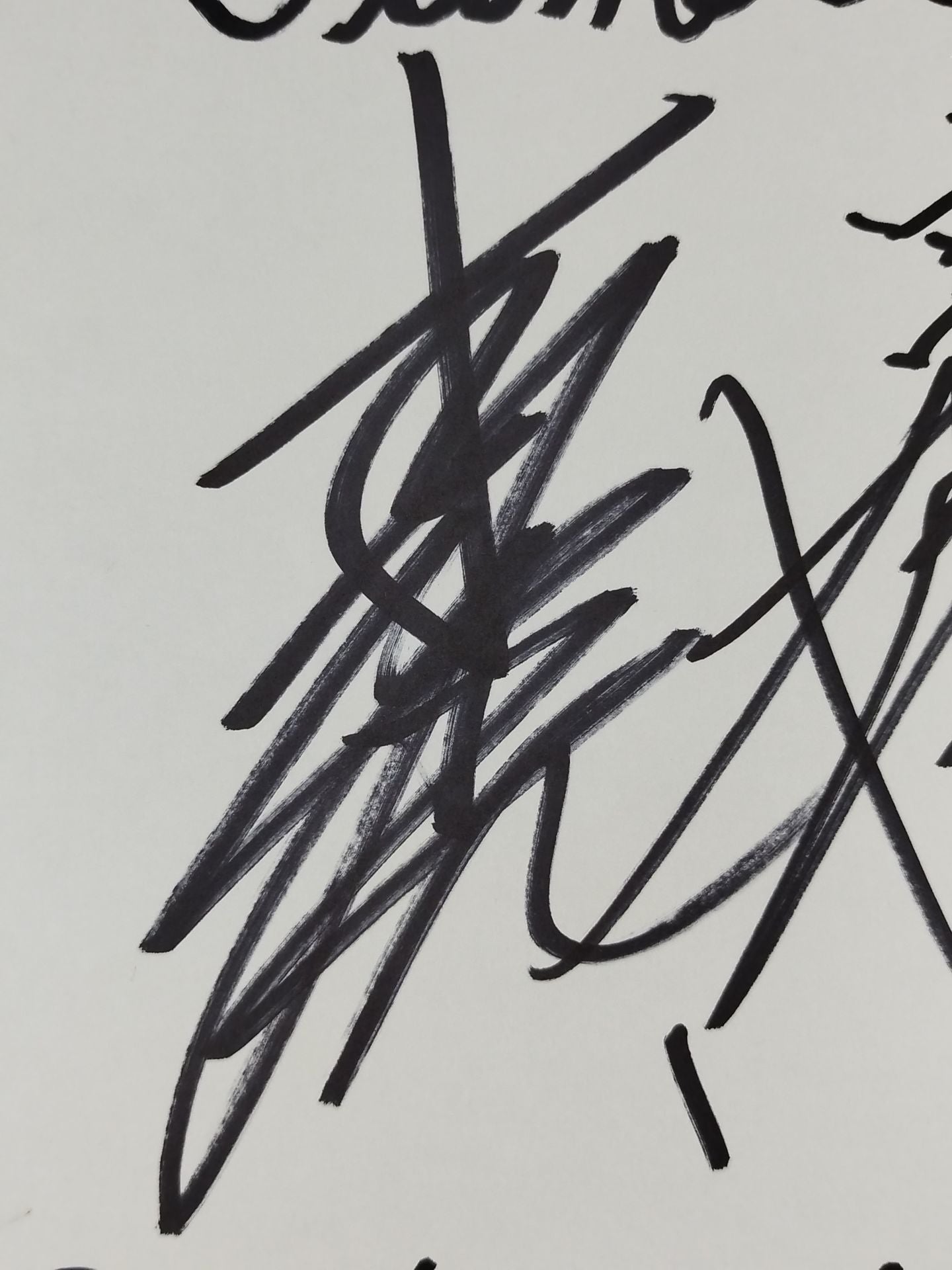 ★ターメリック・ストーム★ 本間朋晃＆宮本和志