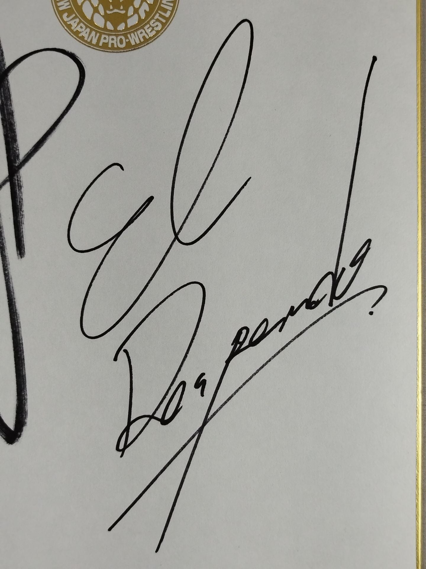 Yoshinobu Kanemaru  and Lion Mark Shikishi ( Autograph board ) )