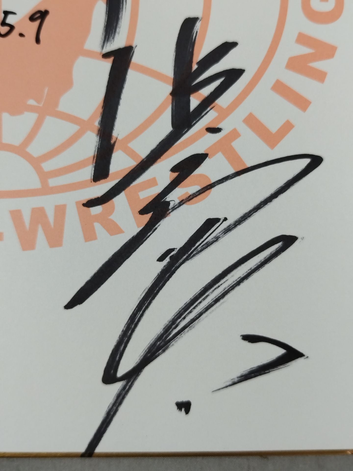 諏訪魔＆真田聖也＆浜亮太＆河野真幸(全日本プロレス専用色紙)